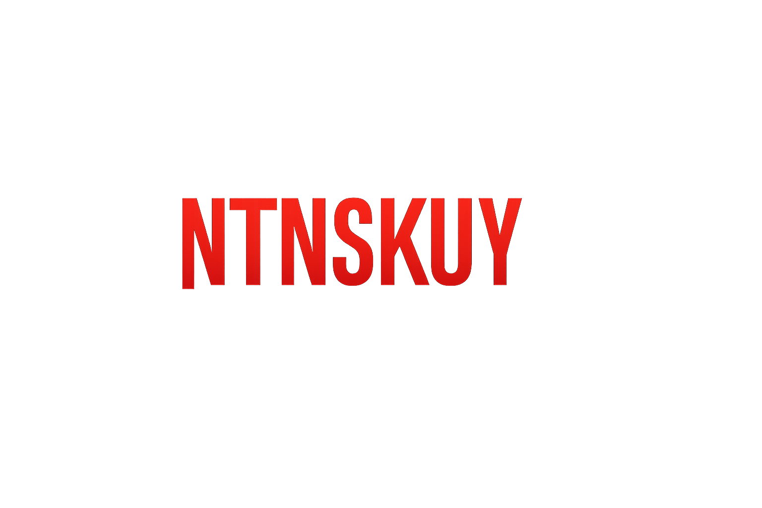 LOGO NTNSKUY